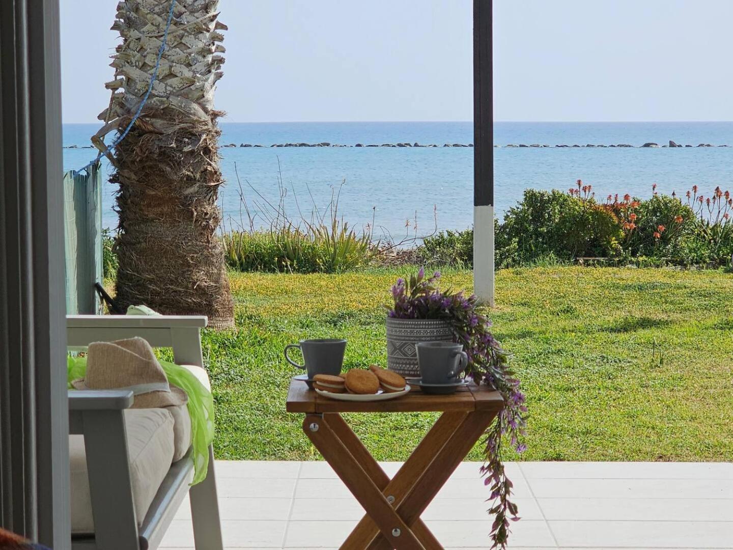 Ammos Beachfront Villa Paradise 拉纳卡 外观 照片