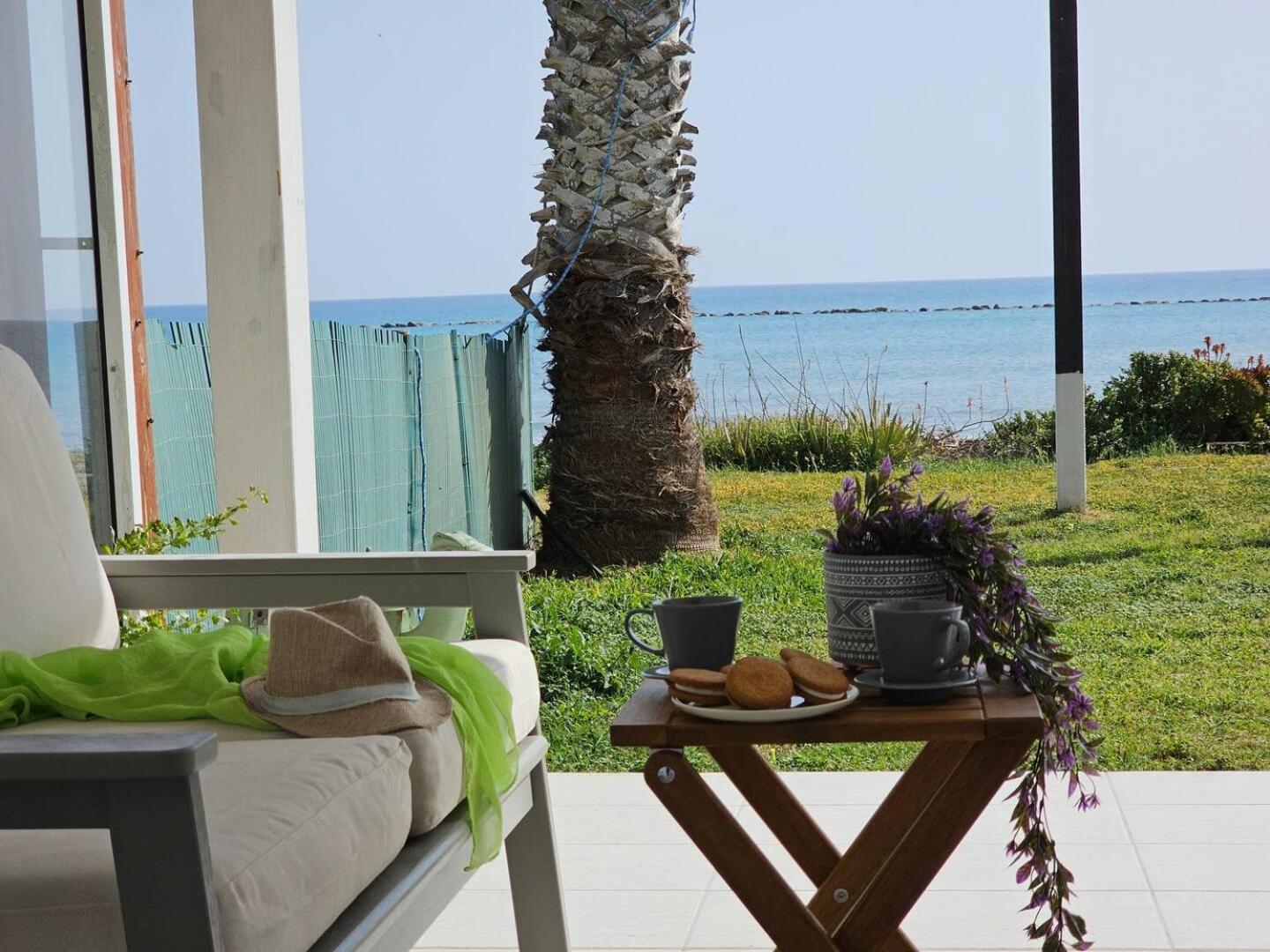 Ammos Beachfront Villa Paradise 拉纳卡 外观 照片